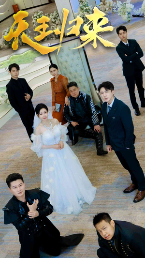 天王归来（35集）观看软件