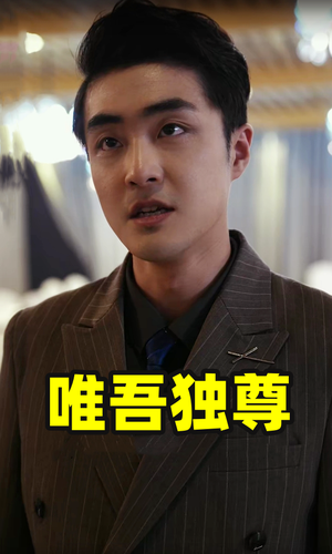 唯吾独尊（96集）短剧排行榜