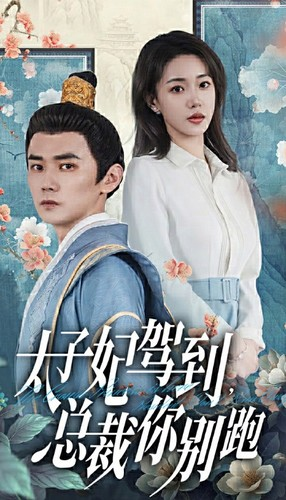 太子妃驾到，总裁你别跑（80集）短剧介绍