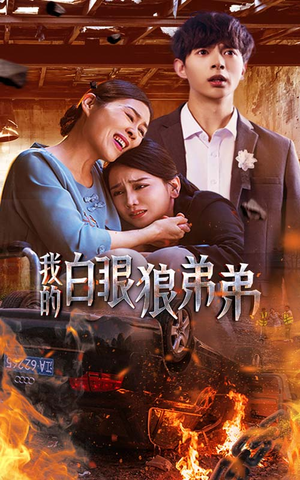 我的白眼狼弟弟（69集）在哪看是免费的