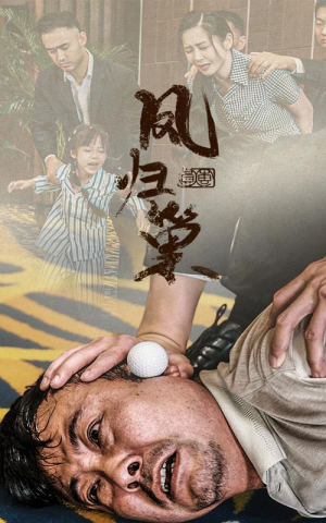 新版：凤归巢（68集）免费短剧资源