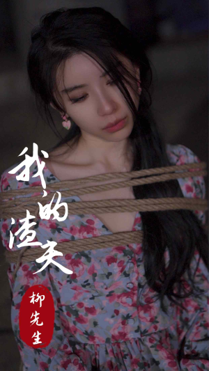 我的渣夫柳先生（80集）短剧介绍