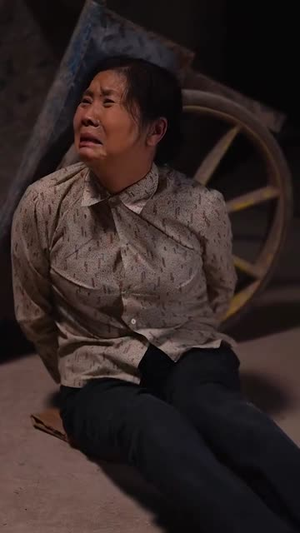 晚风吹北城（66集）一口气追完全集