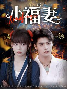 小福妻（62集）精彩片段