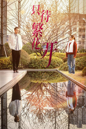 只待繁花开（35集）口碑之选免费看