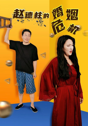 赵德柱的婚姻危机（35集）高清画质免费看