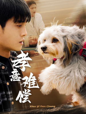 孝意难偿（32集）爆款热门短剧