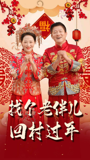 找个老伴儿回村过年（58集）好看的短剧推荐