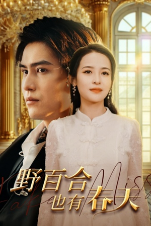 野百合也有春天（85集）全剧看到大结局