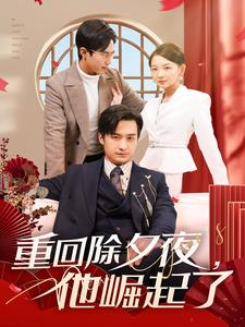 重回除夕夜他崛起了（89集）热门短剧抢先看