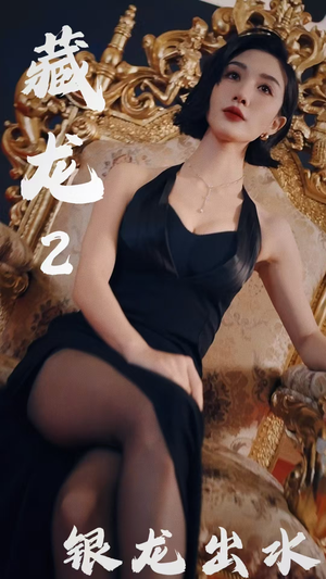 藏龙2银龙出水(35集) 藏龙2银龙出水(35集)分享好看短剧