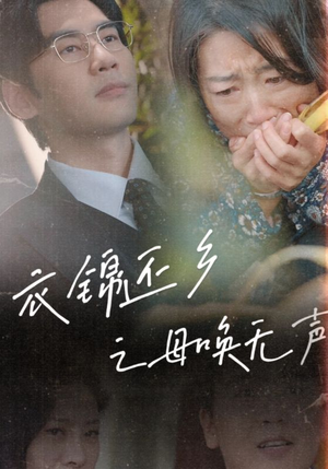 衣锦还乡之母唤无声（60集）高清画质免费看