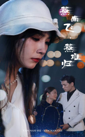 燕南飞，燕难归（31集）西瓜短剧免费看