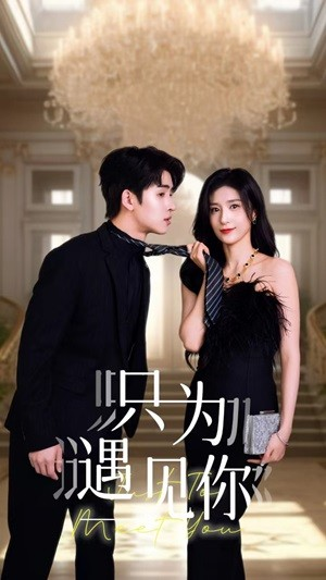 只为遇见你（88集）短剧全集免费看