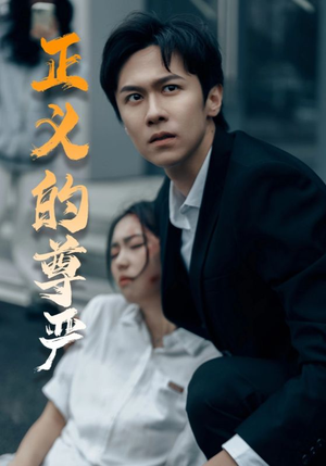 正义的尊严（35集）百度网盘资源