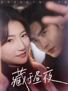 藏于昼夜（68集）最火爆的短剧