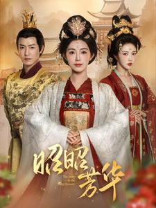 昭昭芳华（81集）甜宠短剧追到爽