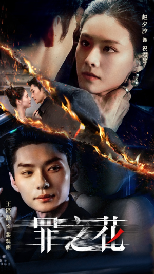 罪之花（56集）上热门短剧