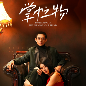 掌中之物（62集）好看的短剧电影