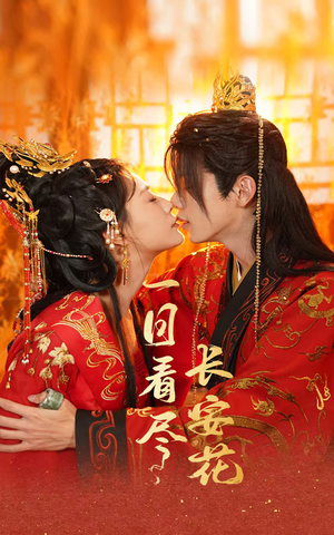 一日看尽长安花（58集）男频短剧推荐
