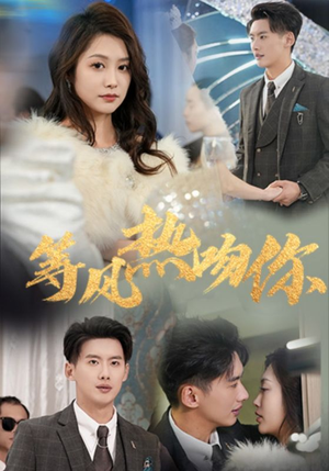 等风热吻你（31集）免费在线看全集