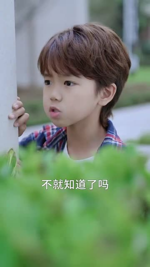 无言寸草心（60集）真的好看吗