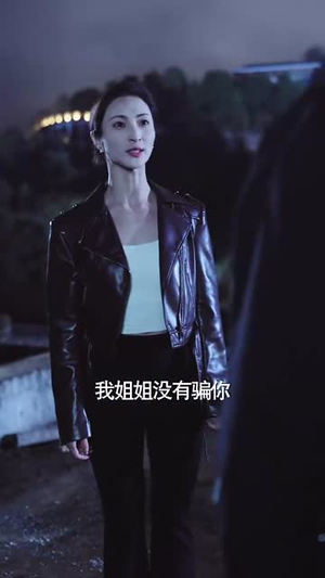 消失的光（30集）看到了大结局