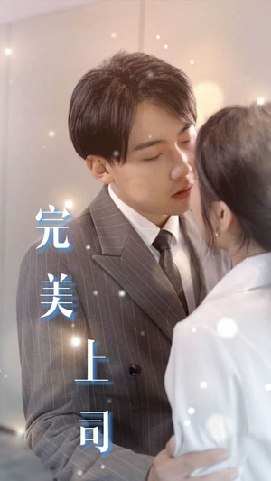 完美上司（30集）热门短剧大全