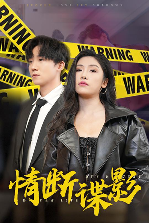 情断谍影（30集）看短剧放松一下