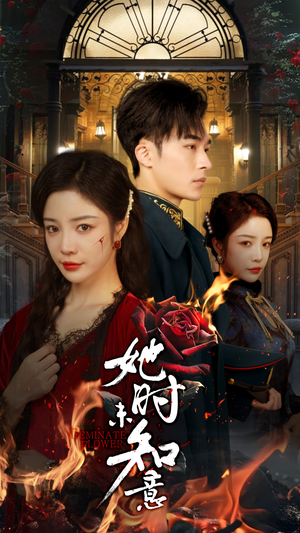 她时未知意（70集）无需充值尽情看