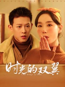 时光的双翼（94集）好看的短剧分享