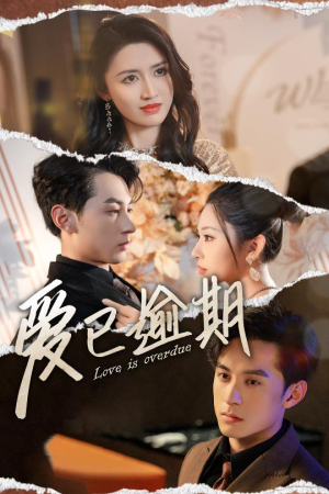 从此山海不相逢（50集）新短剧推荐