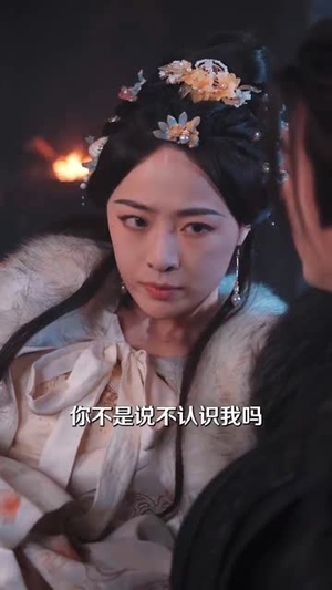 梦断香消将军府（50集） 最后的大结局