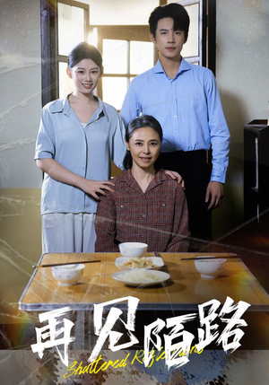 再见陌路（39集） 经典老剧免费看