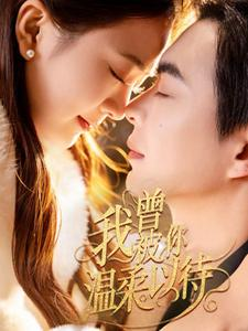 我曾被你温柔以待（57集） 短剧太好看