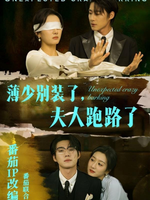 薄少别装了夫人跑路了（60集） 短剧小说在线看