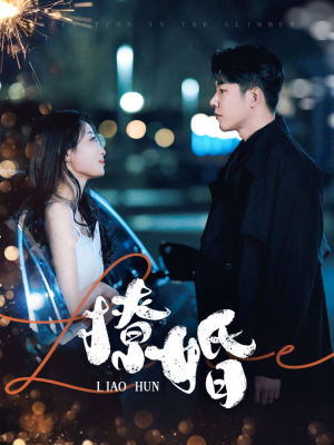 撩婚（90集） 红果短剧看全集