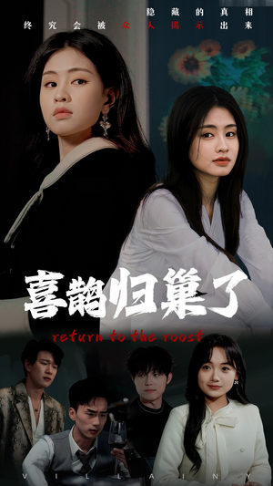 喜鹊归巢了（60集） 最近很火的短剧