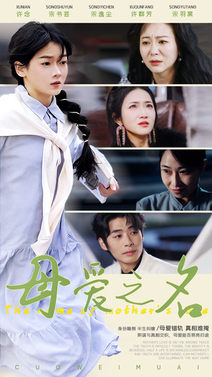 母爱之名（70集） 经典回顾免费看