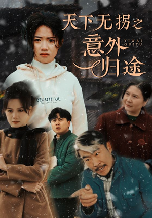 天下无拐之意外归途（61集） 热门短剧榜单