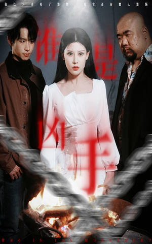 谁是凶手（31集） 精彩短剧随心推