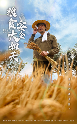 粮食安全大如天（43集） 我真的爱了