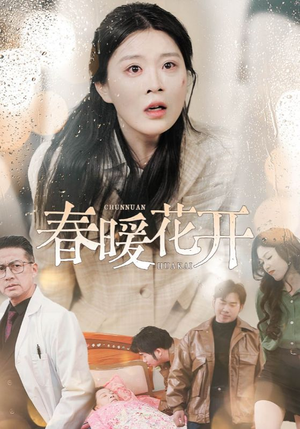 春暖花开（30集） 最新上映免费看