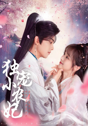 独宠小农妃（63集） 演的怎么样