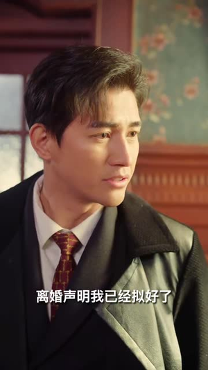 司令府就是我的家（60集）  红果短剧免费看