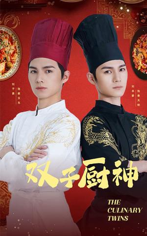 双子厨神（55集）  观看软件