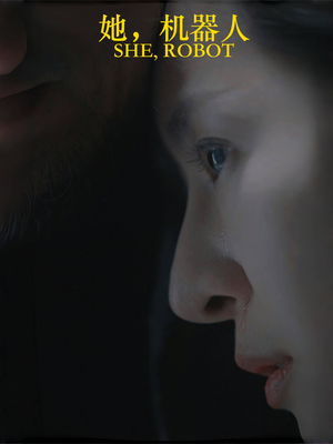 她机器人（23集）第二季