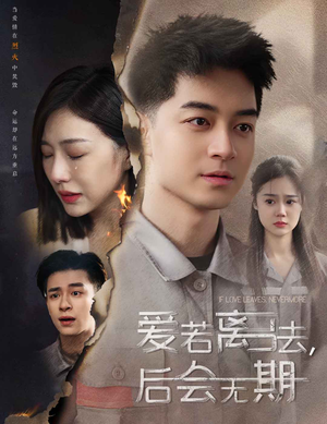 爱若离去，后会无期（70集）红果短剧看全集