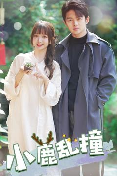 小鹿乱撞（40集） 番茄免费短剧