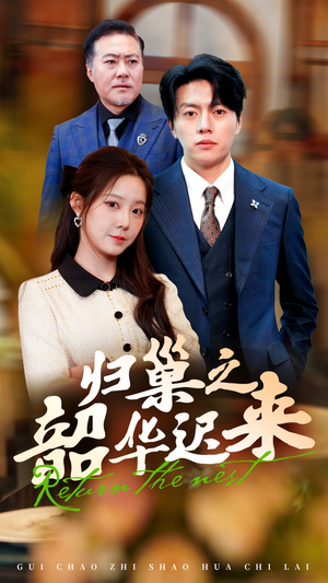 归巢之韶华迟来（62集） 免费看短剧全集